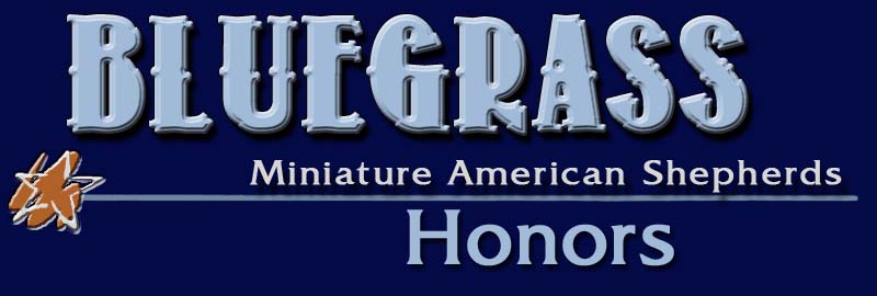 Bluegrass Kennels, Miniature American Shepherds, Honors